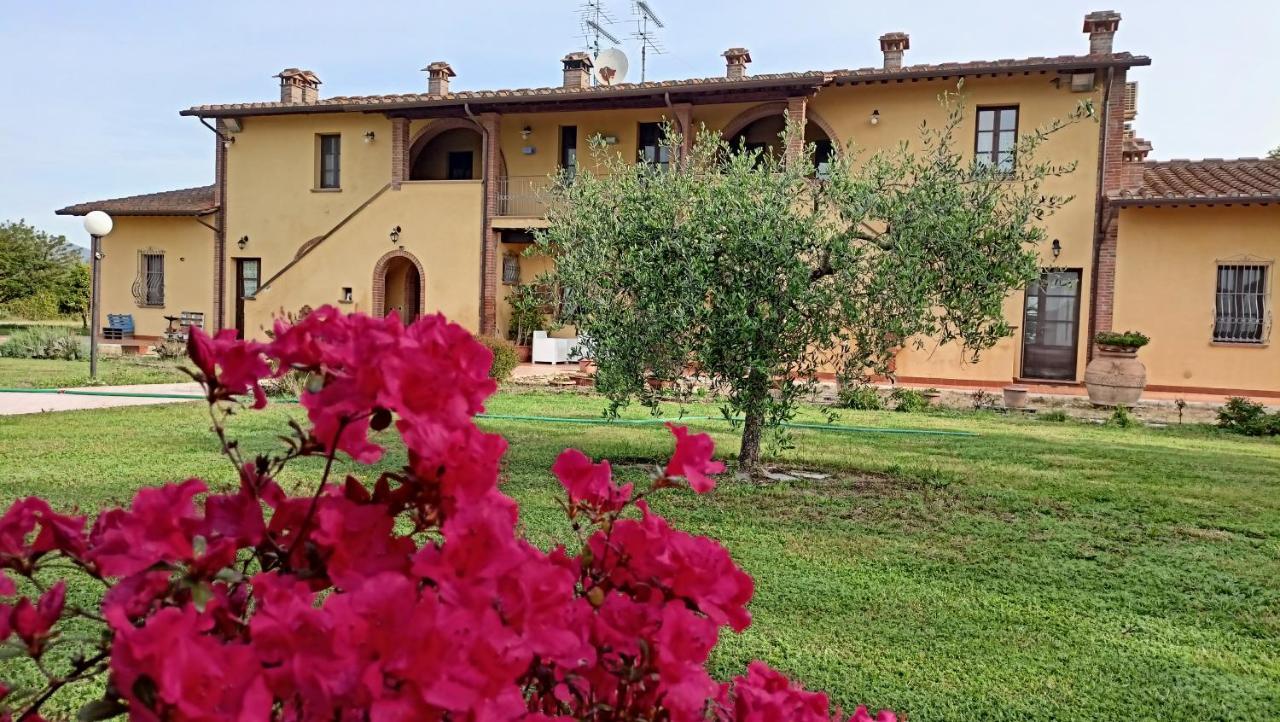 Il Chiassetto Agriturismo No Kids Cascina Kültér fotó