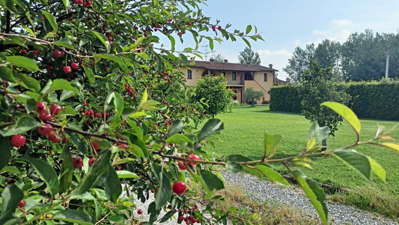 Il Chiassetto Agriturismo No Kids Villa Cascina Kültér fotó