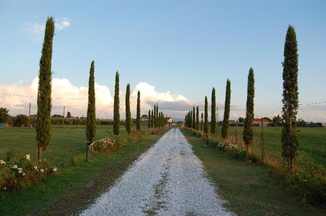 Il Chiassetto Agriturismo No Kids Villa Cascina Kültér fotó